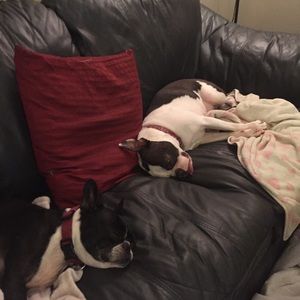 Meet your Posher, Allison